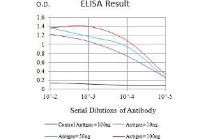 Black line: Control Antigen (100 ng),Purple line: Antigen (10 ng), Blue line: Antigen (50 ng), Red line:Antigen (100 ng) (PTPRJ 抗体  (AA 36-210))