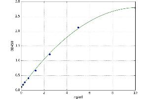 Stearoyl-CoA Desaturase (Delta-9-Desaturase) (SCD) ELISA Kit