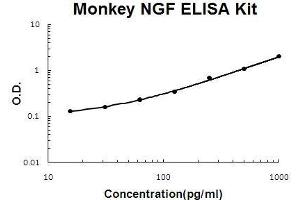 Monkey Primate NGF/NGF beta PicoKine ELISA Kit standard curve (Nerve Growth Factor ELISA 试剂盒)
