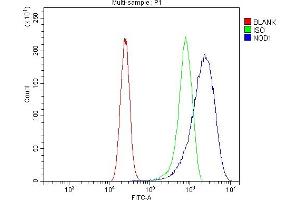 Flow Cytometry analysis of CACO-2 cells using anti-CARD4/NOD1 antibody (ABIN7600975). (NOD1 抗体  (AA 26-953))