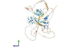Protein Structure (PS) image for Zinc Finger Protein 770 (ZNF770) (AA 1-691) protein (His tag) (ABIN7545586)