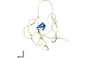 AlphaFold protein structure predicition of Mouse Recombinant Hoxa10 Protein, UniprotID P31310