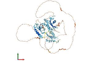 AlphaFold protein structure predicition of Human Recombinant HPS4 Protein, UniprotID Q9NQG7
