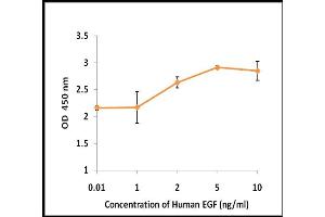 Activity Assay (AcA) image for Epidermal Growth Factor (EGF) (Active) protein (ABIN5509294) (EGF 蛋白)