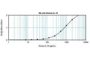 Image no. 3 for anti-Interleukin 15 (IL15) antibody (ABIN464931) (IL-15 抗体)