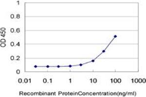 Detection limit for recombinant GST tagged NTNG2 is approximately 3ng/ml as a capture antibody. (Netrin G2 抗体  (AA 21-119))