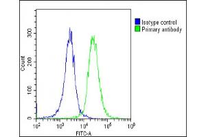 Flow Cytometry (FACS) image for anti-ATPase, Na+/K+ Transporting, alpha 4 Polypeptide (ATP1A4) (AA 12-46) antibody (ABIN6243393)