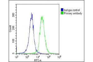 Overlay histogram showing HeLa cells stained with (ABIN6243393 and ABIN6578845)(green line). (ATP1A4 抗体  (AA 12-46))