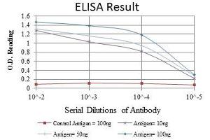 Red: Control Antigen (100 ng), Purple: Antigen (10 ng), Green: Antigen (50 ng), Blue: Antigen (100 ng), (SMN1 抗体)