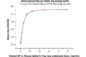 Immobilized Biotinylated Mouse CD28, His,Avitag (ABIN6972980) at 1 μg/mL (100 μL/well) on Streptavidin  precoated (0. (CD28 Protein (CD28) (AA 20-149) (His tag,AVI tag,Biotin))