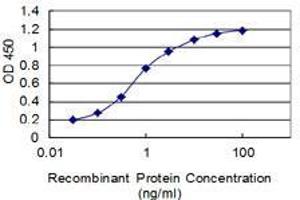 Detection limit for recombinant GST tagged IFT74 is 0. (IFT74 抗体  (AA 1-100))