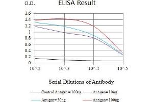 Black line: Control Antigen (100 ng),Purple line: Antigen (10 ng), Blue line: Antigen (50 ng), Red line:Antigen (100 ng) (CHD4 抗体  (AA 1-194))