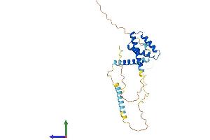AlphaFold protein structure predicition of Mouse Recombinant Eif3j1 Protein, UniprotID Q3UGC7