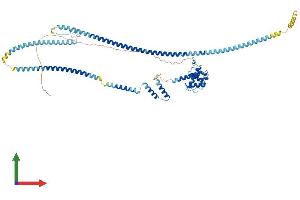 Protein Structure (PS) image for NDC80 Kinetochore Complex Component Homolog (NDC80) (AA 1-642) protein (His tag) (ABIN7554692)