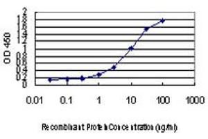 ELISA image for anti-Checkpoint with Forkhead and Ring Finger Domains (CHFR) (AA 1-653) antibody (ABIN599268) (CHFR 抗体  (AA 1-653))
