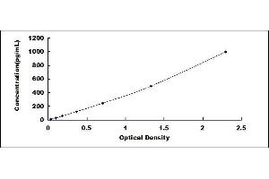Typical standard curve (PUMA ELISA 试剂盒)