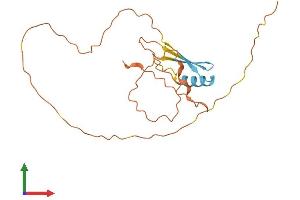Protein Structure (PS) image for Cancer/testis Antigen 2 (CTAG2) (AA 1-210) protein (His tag) (ABIN7546844)