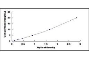 Typical standard curve (CDSE1 ELISA 试剂盒)