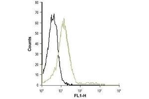 Flow Cytometry (FACS) image for anti-Chemokine (C-X-C Motif) Receptor 2 (CXCR2) (AA 2-19), (Extracellular) antibody (ABIN7043038)