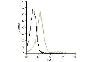 Cell surface detection of CXCR2 in live intact Jurkat cells: (black line) Unstained cells. (CXCR2 抗体  (Extracellular, N-Term))