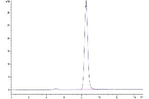 Size-exclusion chromatography-High Pressure Liquid Chromatography (SEC-HPLC) image for Colony Stimulating Factor 2 Receptor, Alpha, Low-Affinity (Granulocyte-Macrophage) (CSF2RA) (AA 20-317) protein (His tag) (ABIN7274779)