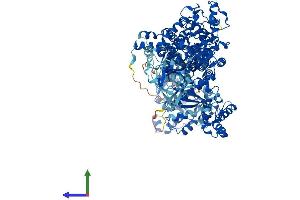 AlphaFold protein structure predicition of Human Recombinant LARS1 Protein, UniprotID Q9P2J5