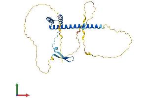 Protein Structure (PS) image for Ventral Anterior Homeobox 2 (VAX2) (AA 1-290) protein (His tag) (ABIN7545026)