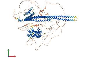 AlphaFold protein structure predicition of Mouse Recombinant Arhgap29 Protein, UniprotID Q8CGF1