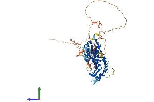 AlphaFold protein structure predicition of Human Recombinant IRF4 Protein, UniprotID Q15306