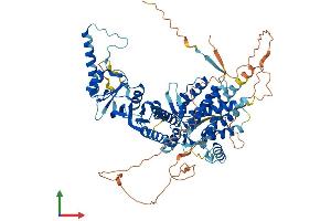Protein Structure (PS) image for Bardet-Biedl Syndrome 10 (BBS10) (AA 1-723) protein (His tag) (ABIN7552557)
