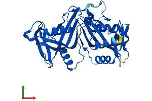Protein Structure (PS) image for Nudix (Nucleoside Diphosphate Linked Moiety X)-Type Motif 18 (NUDT18) (AA 1-323) protein (His tag) (ABIN7550035)