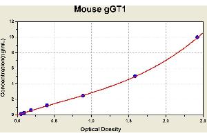 Diagramm of the ELISA kit to detect Mouse gGT1with the optical density on the x-axis and the concentration on the y-axis. (GGT1 ELISA 试剂盒)