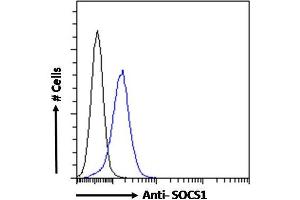 ABIN184575 Flow cytometric analysis of paraformaldehyde fixed HEK293 cells (blue line), permeabilized with 0.