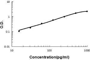 Sandwich ELISA - Recombinant rat IL13 protein standard curve.