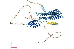 Protein Structure (PS) image for Solute Carrier Family 30 (Zinc Transporter), Member 6 (SLC30A6) (AA 1-461) protein (His tag) (ABIN7545418)
