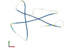 Protein Structure (PS) image for Coiled-Coil alpha-Helical Rod Protein 1 (CCHCR1) (AA 1-782) protein (His tag) (ABIN7553149)