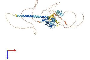 ZBTB8B Protein (AA 1-495) (His tag)