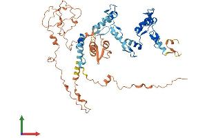 Protein Structure (PS) image for Zinc Finger Protein 554 (ZNF554) (AA 1-538) protein (His tag) (ABIN7545812)