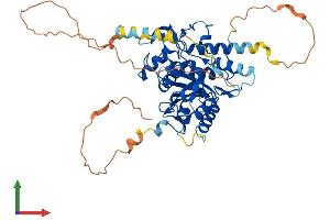 AlphaFold protein structure predicition of Mouse Recombinant Atg4d Protein, UniprotID Q8BGV9