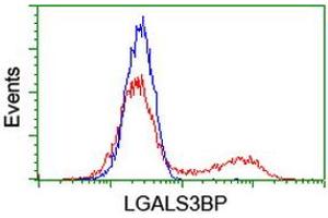 HEK293T cells transfected with either RC204918 overexpress plasmid (Red) or empty vector control plasmid (Blue) were immunostained by anti-LGALS3BP antibody (ABIN2454976), and then analyzed by flow cytometry. (LGALS3BP 抗体)