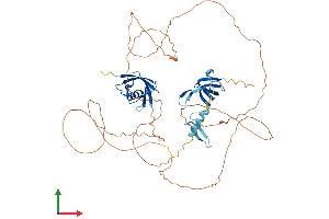 Protein Structure (PS) image for Coilin (COIL) (AA 1-570) protein (His tag) (ABIN7557533)
