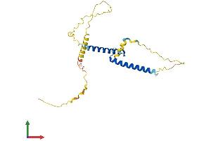 Protein Structure (PS) image for Achaete-Scute Complex Homolog 1 (Drosophila) (ASCL1) (AA 1-236) protein (His tag) (ABIN7552451)