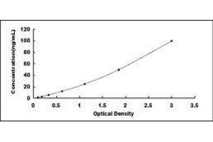 ELISA image for Tissue Factor Pathway Inhibitor (Lipoprotein-Associated Coagulation Inhibitor) (TFPI) ELISA Kit (ABIN431371)