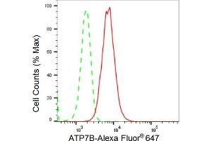 Flow cytometric analysis of ATP7B expression in HepG2 cells using ATP7B antibody (ABIN7797696), 1:2,000). (Recombinant ATP7B 抗体)