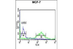 Flow cytometric analysis of MCF-7 cells (right histogram) compared to a negative control cell (left histogram). (ETS2 抗体  (AA 146-173))