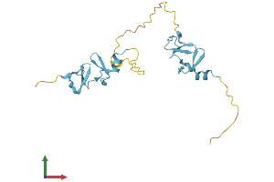 Protein Structure (PS) image for Cysteine and Glycine-Rich Protein 2 (CSRP2) (AA 1-193) protein (His tag) (ABIN7546861)