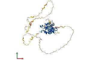AlphaFold protein structure predicition of Human Recombinant ATAT1 Protein, UniprotID Q5SQI0
