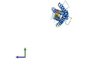 Protein Structure (PS) image for Claudin 11 (CLDN11) (AA 1-207) protein (His tag) (ABIN7553447)