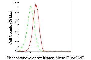 Flow cytometric analysis of Phosphomevalonate kinase expression in C2C12 cells using Phosphomevalonate kinase antibody (ABIN7799829), 1:2,000).