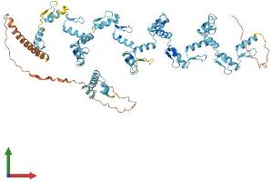 AlphaFold protein structure predicition of Human Recombinant ZNF429 Protein, UniprotID Q86V71